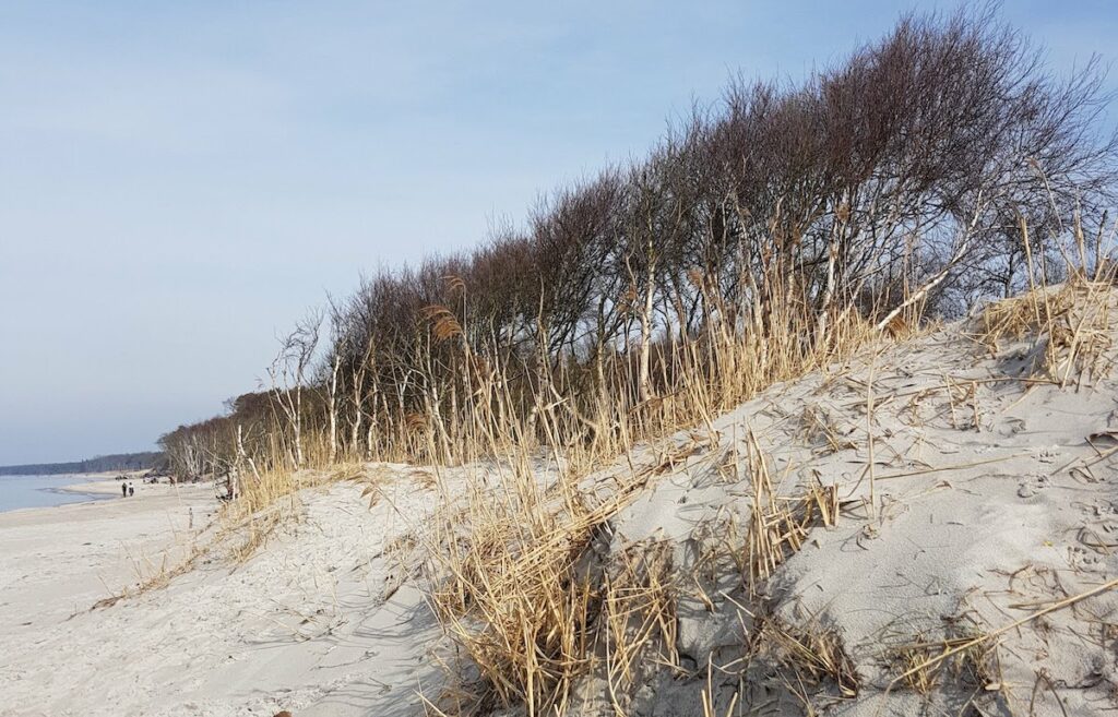 Schwuler Strand an der Ostsee