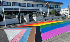 Gay Bars in Reykjavik (Island)