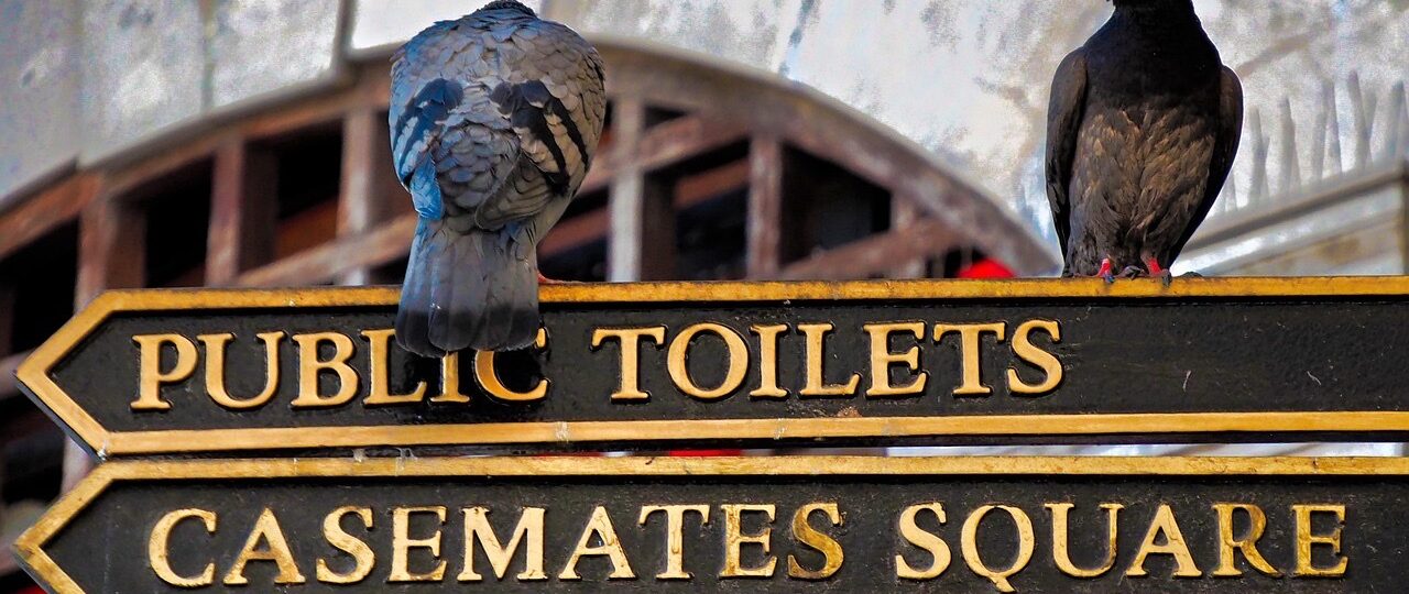 Gay Bars & Clubs in Gibraltar