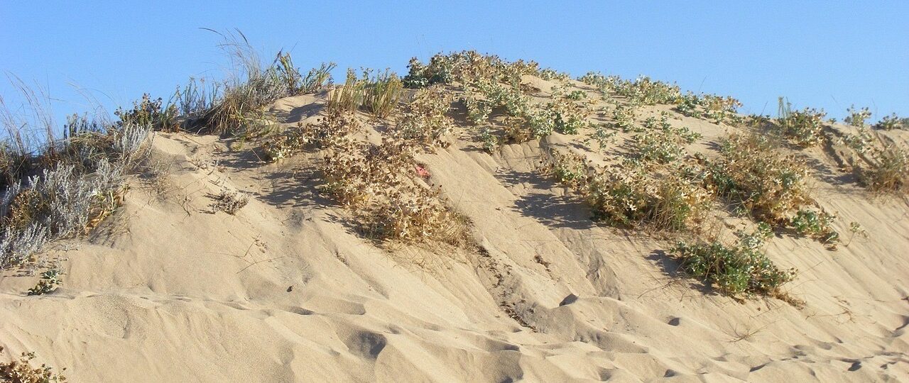 Gay-Strände in Cádiz