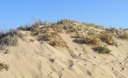 Gay-Strände in Cádiz