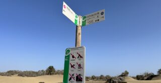 Dünen Maspalomas: Was geht ab?