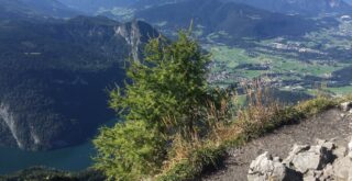 Gay-friendly Hotels Bayern